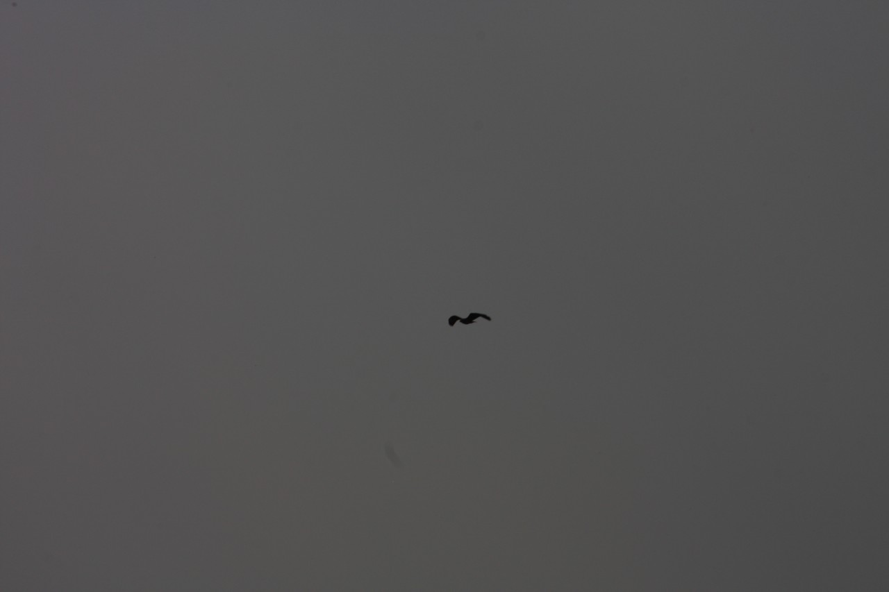 10.09.2014 15:51:31
Der Habichtweg bei Eicherloh - Garchinger Umland - Garchinger.de