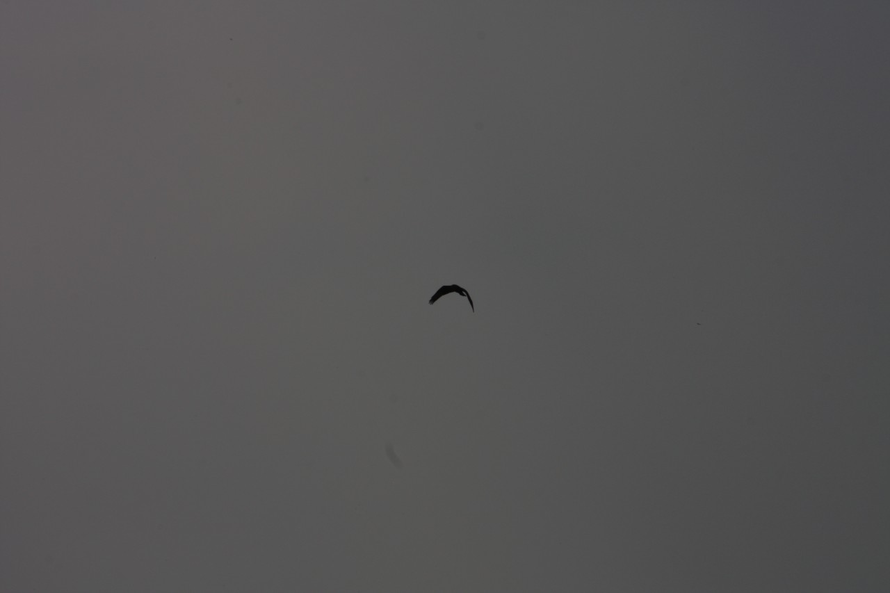 10.09.2014 15:51:33
Der Habichtweg bei Eicherloh - Garchinger Umland - Garchinger.de