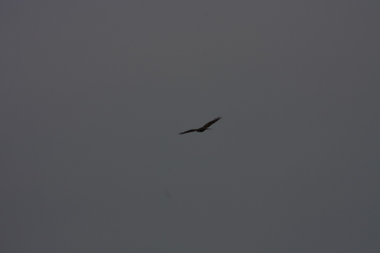 10.09.2014 15:55:31
Der Habichtweg bei Eicherloh - Garchinger Umland - Garchinger.de