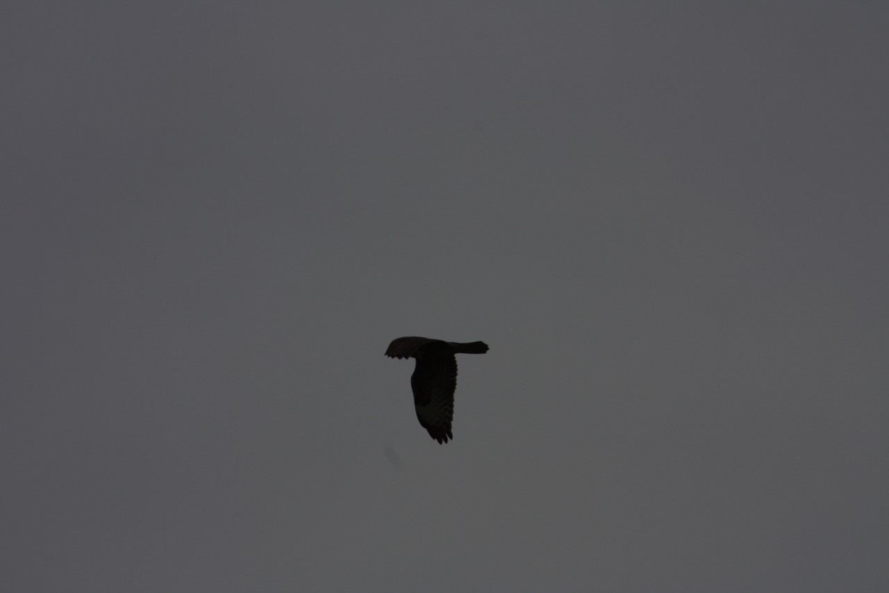 10.09.2014 15:55:57
Der Habichtweg bei Eicherloh - Garchinger Umland - Garchinger.de