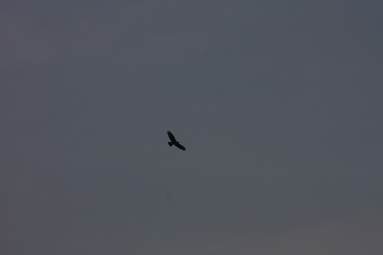 10.09.2014 15:57:13
Der Habichtweg bei Eicherloh - Garchinger Umland - Garchinger.de